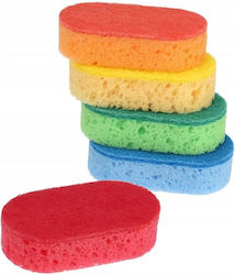 Kitchen Dishwashing Sponges 5 Pcs