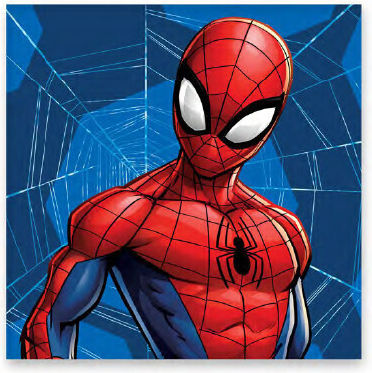 Spiderman Web Hand Towel Face Towel Towel 30x30cm