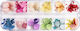 Luxorise Dried Nail Flowers Grace Touch 12 Designs