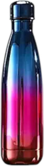 Queen Mother Kids Water Bottle Thermos Stainless Steel 500ml