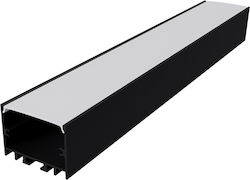 P217ub