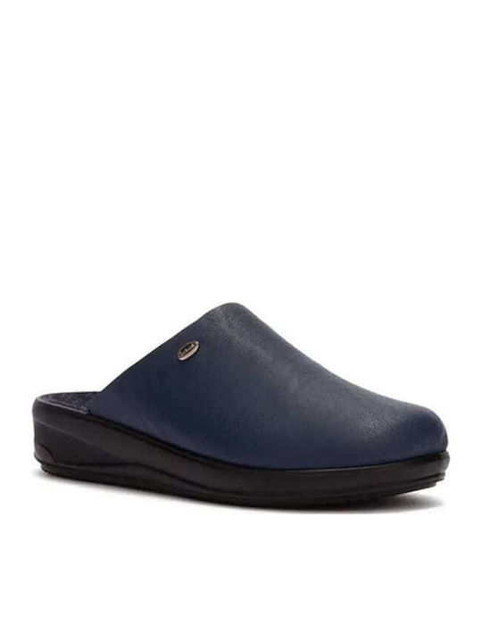 Scholl