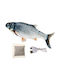Moving Fish Catnip 30 Cm Silver