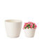 Form Plastic Ghiveci De Flori Din Plastic Crem Cu Farfurie 19x17.3cm
