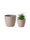 Form Plastic Kunststoff Blumentopf Beige mit Untersetzer 10,7x10,7cm
