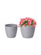 Form Plastic Plastic Gray Flower Pot with Saucer 147x136cm
