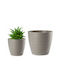 Form Plastic Ghiveci de Flori Plastic Gri Deschis cu Farfurie 147x136 cm