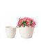 Form Plastic Γλάστρα Πλαστική Cream με Πιάτο 167x154εκ.