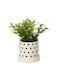 Green Plant In A Pot Artificial Decorative 16x8 Cm
