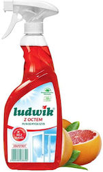 Ludwik Lichid Profesional Curățător Pentru Windows 600ml Ludwik Lichid Profesional Curățător Pentru Windows 600ml