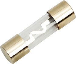 10 Goldbeschichtete Auto-Sicherungen 60a 10×37 Mm Auto Audio Verstärker