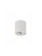Bord One Dlp-50-w Ceiling Spot Fixture Max 10w Gu10 Ip20 Black 28784