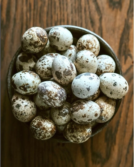 Hokuō Ouă De Prepeliță Ouă De Prepeliță 100g 15-20 Ouă