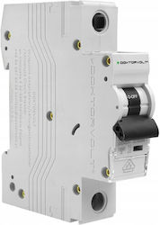 Doktorvolt Elektrische Schaltpaneel-Druckknopfschalter 10A