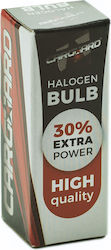 Halogen Autolampe H3 12V 55W +30% Helligkeit Scheinwerfer Lange Lebensdauer Halogen Autolampe H3 12V 55W +30% Helligkeit Scheinwerfer Lange Lebensdauer