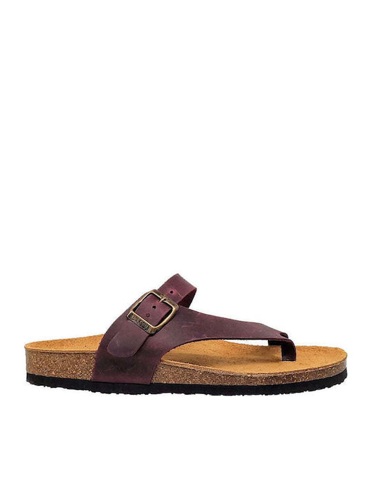 Leather Women's Anatomic Sandals Purple