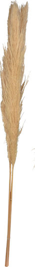 Dried Pampas Flowers 100–115 Cm 4 Different Designs Natural Colors