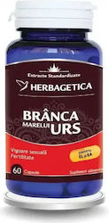 Herbagetica Great Bear's Branca 60 Capsule Herbagetica Great Bear's Branca 60 Capsule