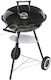 Master Grill & Party Holzkohlegrill 42x42cm