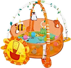 Activity Play Mat for 6+ Months Activity Play Mat for 6+ Months