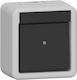 Διακόπτης Gira 310630 Rocker Switch Auswe Wg Ap Gray