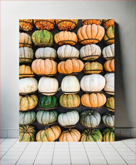 Colorful Pumpkin Display Πολύχρωμη Οθόνη Κολοκύθας Colorful Pumpkin Display Πολύχρωμη Οθόνη Κολοκύθας
