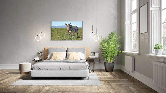 Zebra In The Field Ζέβρα Στο Χωράφι 1 σε Καμβά