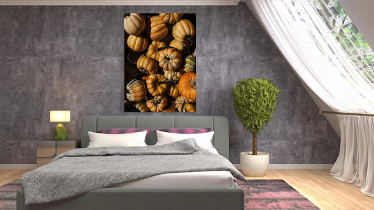Colorful Gourds Πολύχρωμες Κολοκύθες Colorful Gourds Πολύχρωμες Κολοκύθες