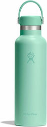 Hydro Flask Standard Flex Cap Bottle Thermos St...