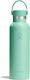 Hydro Flask Standard Flex Cap Bottle Thermos St...
