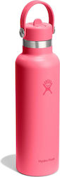 Hydro Flask Standard Flex Stainless Steel Therm...