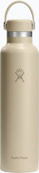 Hydro Flask Standard Flex Cap Hydro Flask Standard Flex Cap