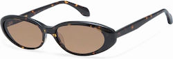 Gigi Barcelona Sunglasses Brown With Horn-Rimmed Frame Gigi Barcelona Sunglasses Brown With Horn-Rimmed Frame