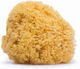 Suavinex Baby Bath Sponge Beige