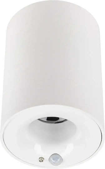 Spoturi Led Alb Natural Cu 10 Lumini În Culoare Albă