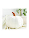 Pumpkin Sofa Cushion Pumpkin 35 cm White