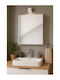 Deftrans Badezimmerspiegel aus Spanplatte mit Schrank 60x50cm Beiges