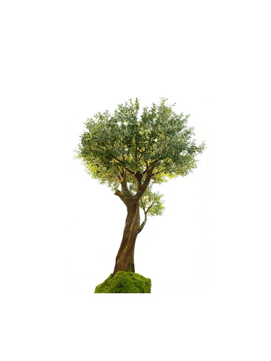 Supergreens Artificial Bonsai Olive Tree Grand ...
