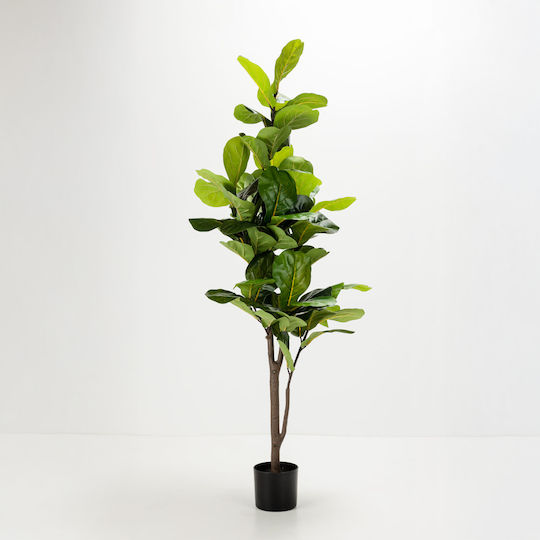 Ficus Pandurata Copac Artificial Ghiveci 180cm Material Textil Verde Pvc C540573