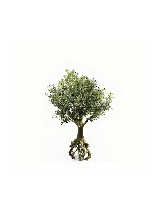 Outdoor Bonsai Supergreens