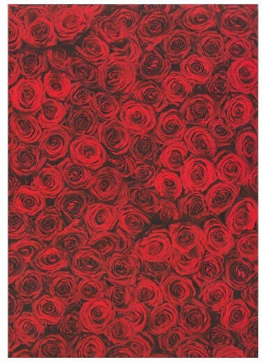 Karton Folia 50 x 70 270 g Beidseitig Rosen