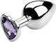 Passion Labs Anal Plug Mittel Lila