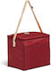 Igloo Insulated Handbag
