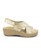 Anatomic Summer Women's Gold Platforms