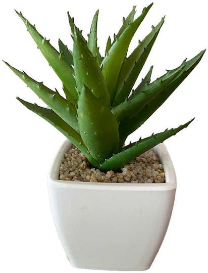 Cactus Small Set/2
