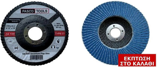 Pasco Werkzeuge Schleifscheiben Flap 115mm P100 10 Stück