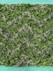 Supergreens Τεχνητή Φυλλωσιά Moss "viridis Aura" Πράσινη 100x100 Εκ 0202-7
