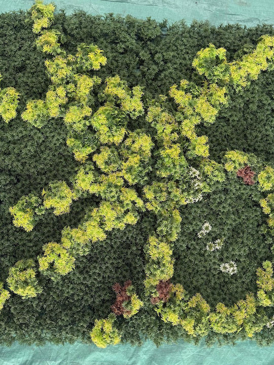 Supergreens Τεχνητή Φυλλωσιά Moss "aurea Vigna" Πράσινη 100x100 Εκ 9102-7