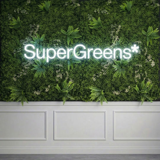 Supergreens Foliage Artificial Pe Trellis Moss Silva Luminis Verde 1x1m Silva Luminis