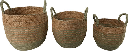 Set Plant Pots and Baskets 3pcs Braided Round Set Plant Pots and Baskets 3pcs Braided Round